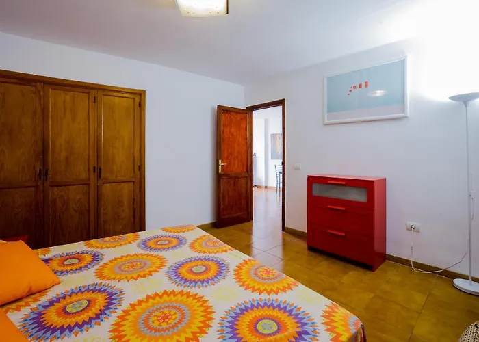 Garden 6 美洲海滩